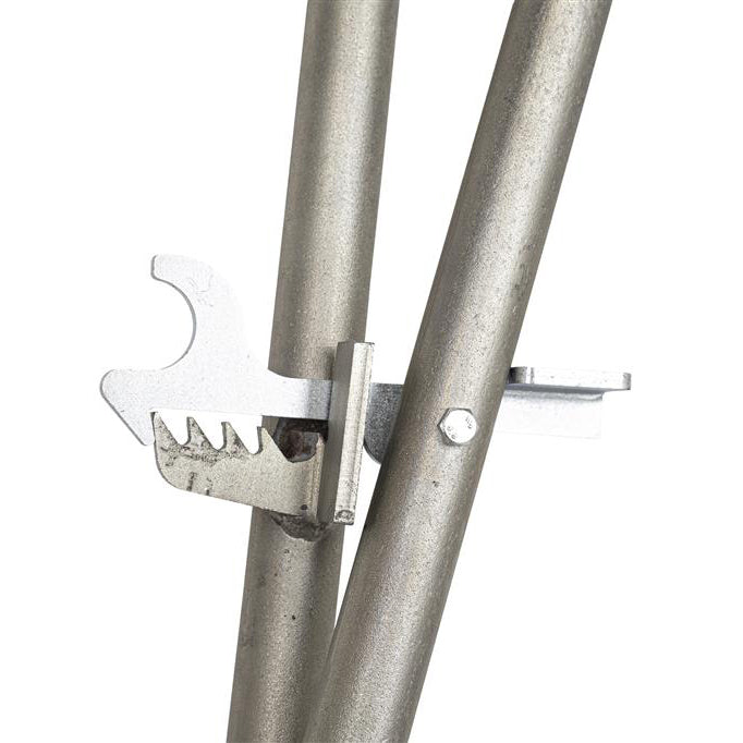 orit plattenzieher newton