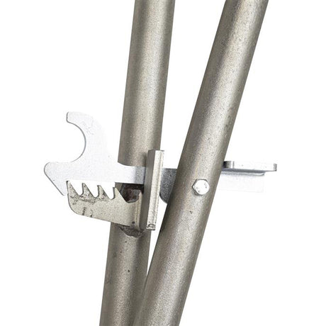 orit plattenzieher newton